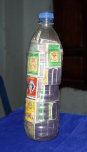 The Evolution of World Records